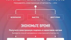 Что такое камеральная проверка декларации физического лица в Фаберлик