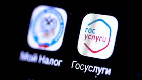 Как получить налоговый вычет через Госуслуги в Фаберлик