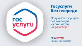 Как получить выплаты через портал Госуслуги в Фаберлик
