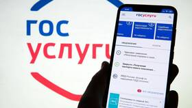 Как посмотреть выписку на Госуслугах в Фаберлик