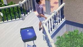 Как повысить визу в The Sims 3 в Фаберлик