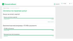 Как проверить остаток интернета в роуминге Мегафон в Фаберлик