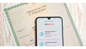 Как ввести ИНН на Госуслугах в Фаберлик