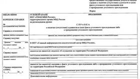 Как заказать справку о судимости через Госуслуги в Фаберлик
