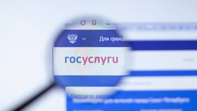 Почему не запускаются Госуслуги в Фаберлик