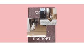 Потеряла паспорт: что делать и куда обращаться в 2025 году в Фаберлик