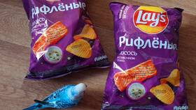 Сколько стоят чипсы Lay's в Пятерочке в Фаберлик
